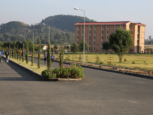 injibara university